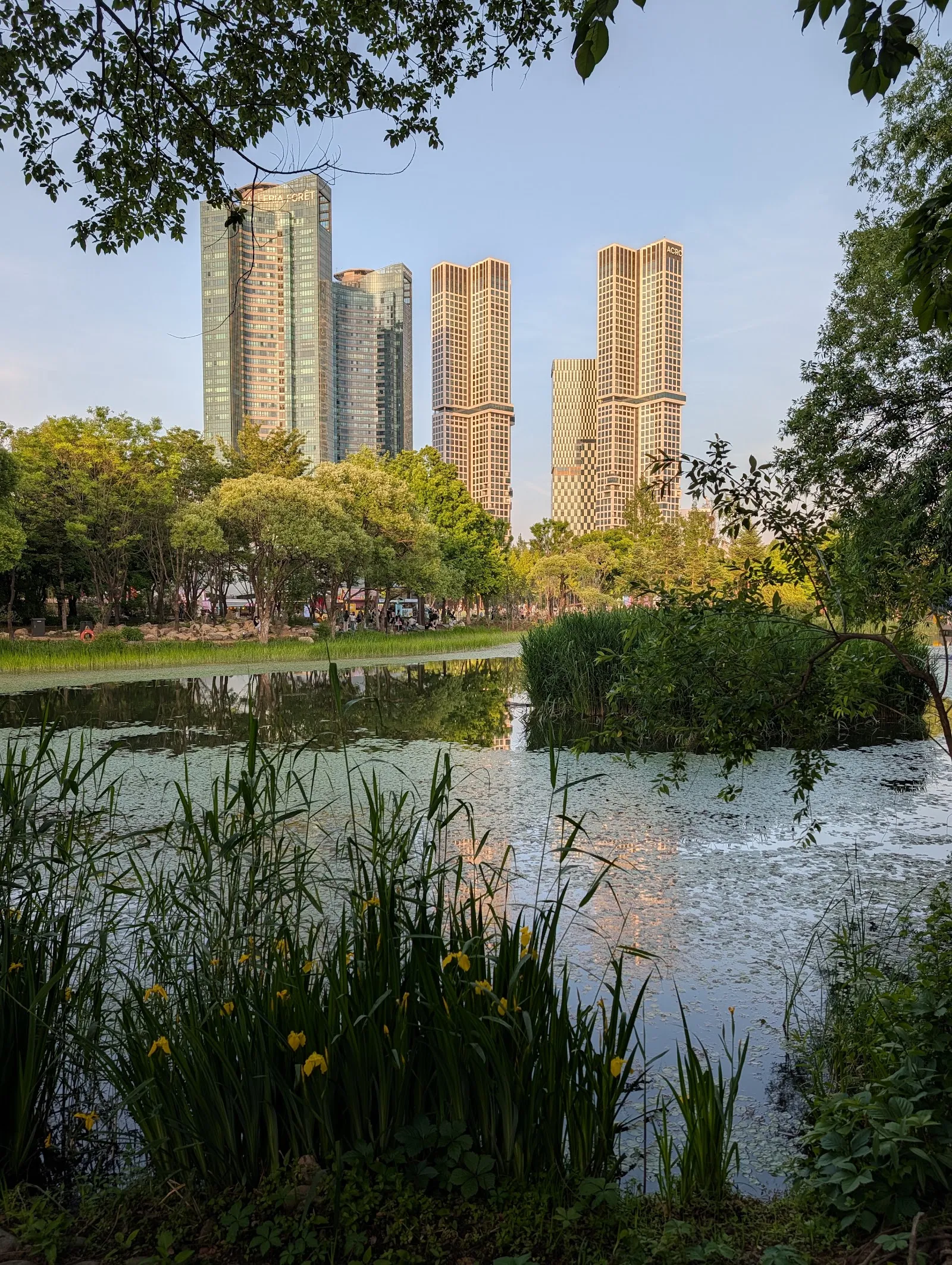 El Seoul Forest con los rascacielos de fondo
